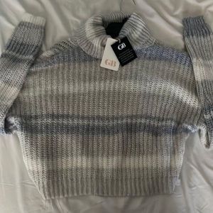 Gianni Bini Turtle neck sweater